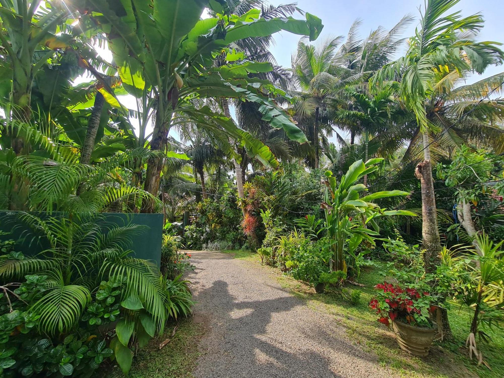 Hill Side Kings Villa Hikkaduwa Esterno foto